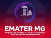 Imagem EMATER MG - Empresa de Assistência Técnica e Extensão Rural do Estado de Minas Gerais